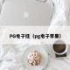 PG电子挂（pg电子苹果）
